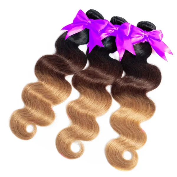 Human Hair Extensions deep curly bundles With Lace Closure 1B/4/27 Ombre body wave european hair brazilian hair bundles - Image 3