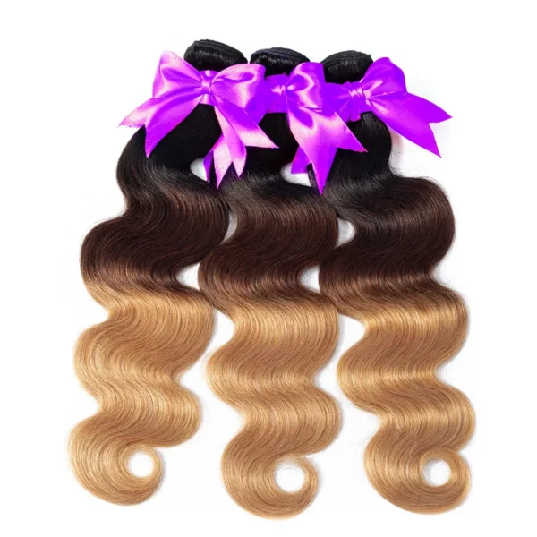 Human Hair Extensions deep curly bundles With Lace Closure 1B/4/27 Ombre body wave european hair brazilian hair bundles - Image 2