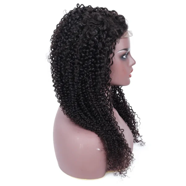 Cheap Raw Indian Human Hair Kinky Curly Wigs Pre Plucked 5X5 Hd Lace Closure Wigs For Black Women Water Wave Lace Front Wigs - Image 2